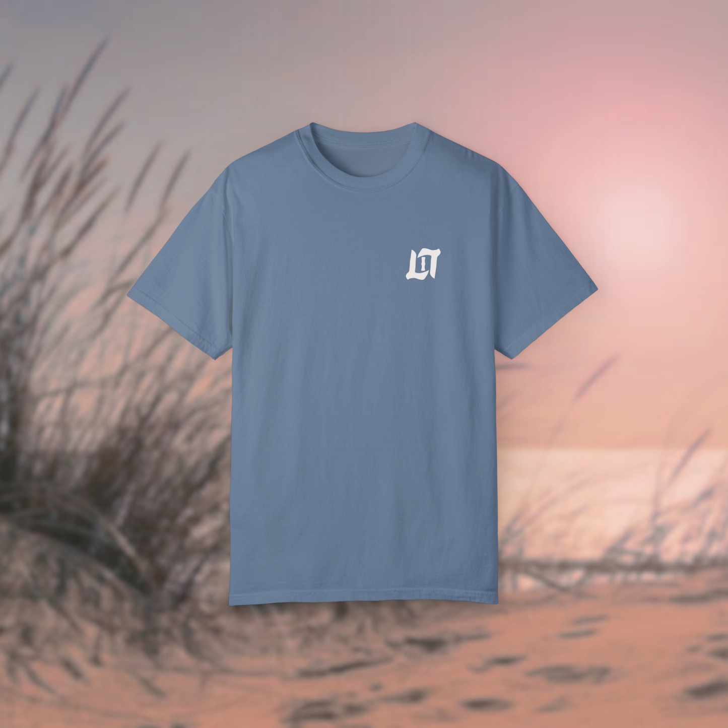 Jeremiah 29:11 Tee (Smokey Blue)